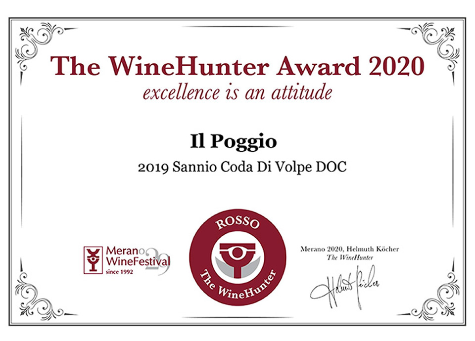 Sannio Coda Di Volpe DOP 2019 Award ROSSO (19)