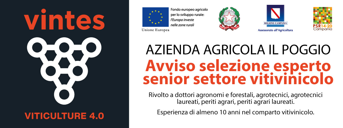 PROGETTO VINTES: Avviso selezione esperto senior settore vitivinicolo